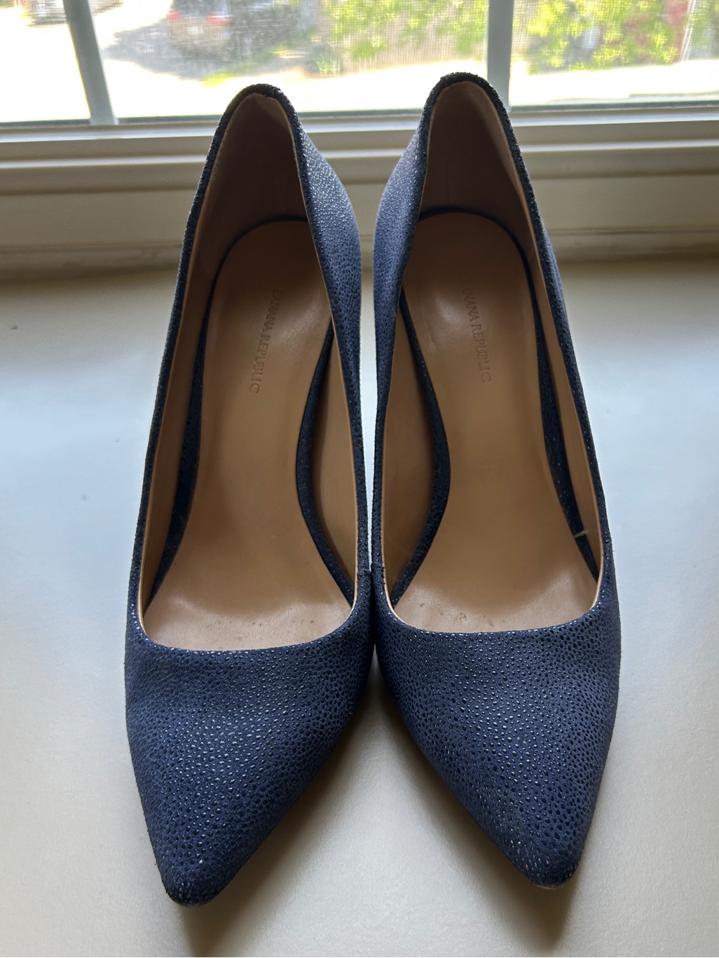 Banana Republic Pointed-Toe Navy Heeled Pumps For Women